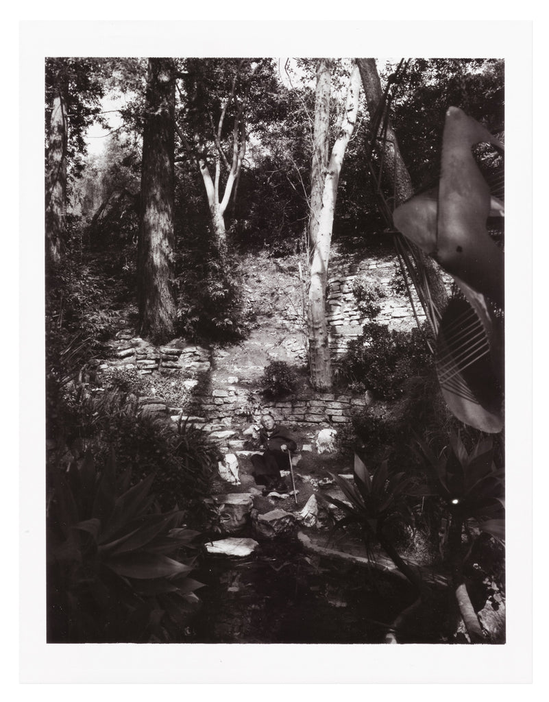Julius Shulman in his garden